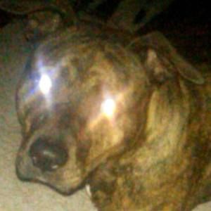 Meet your Posher, Dana